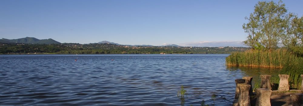 img header