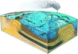 Monte San Giorgio. Ricostruzione dell’ambiente del Triassico Medio