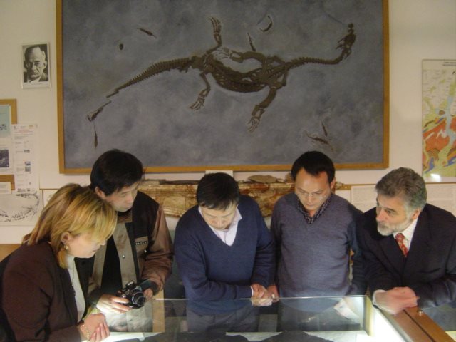 Studiosi cinesi dell’Università di Pechino visitano il vecchio Museo dei fossili di Meride, accompagnati dal prof. Tintori