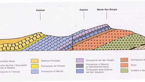 Ricostruzione grafica dei depositi stratigrafici del Monte San Giorgio
