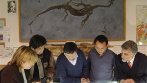 Studiosi cinesi dell’Università di Pechino visitano il vecchio Museo dei fossili di Meride, accompagnati dal prof. Tintori