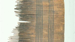 Pettine da tessitore in legno dalla Lagozza di Besnate