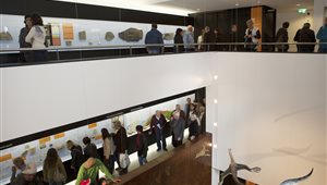 Il Museo dei fossili del Monte San Giorgio