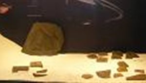 La sala paleontologica del Museo della Valle di Zogno